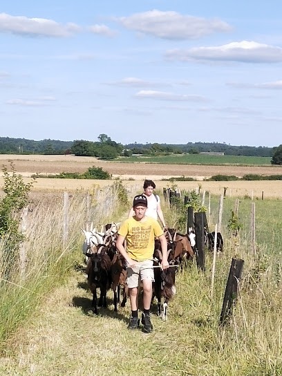 Au Lait Benaise Emmanuel Jeannot, Fromage de chèvre, Fromagerie à Vanzac