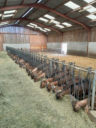 GAEC GATEAU, Fromagerie à Viry
