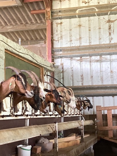Ferme Des Arroutis, Fabricant de Fromages à Saint-Plancard