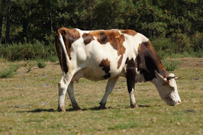 La Fromagerie De Marie, Fromagerie à Reignac