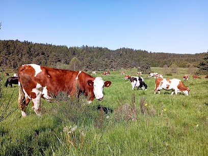 Ferme Du Bois Doré, Fabricant de Fromages à Fournols