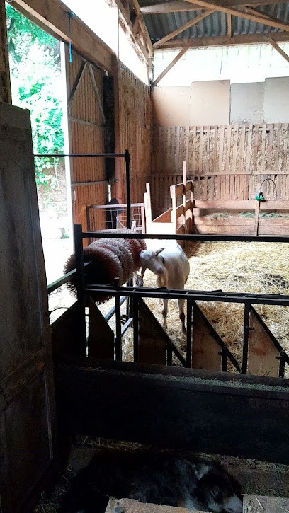 Gaec Les Petits Chevres, Fabricant de Fromages à Thoard