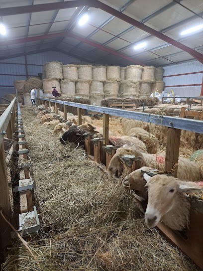 Fromagerie Jorajuria Jean-Pascal, Fromagerie à Saint-Pée-sur-Nivelle