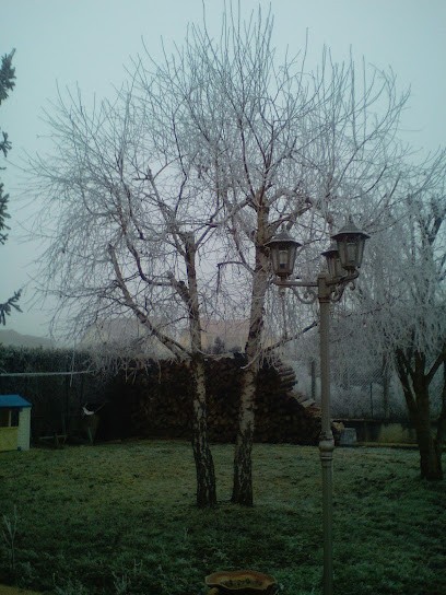 Allard Ets, Fromagerie à Saligny