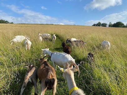 La Chevri'Air, Fabricant de Fromages à Créon