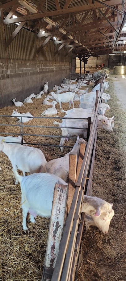 Les Fromages d'Angel, Fromagerie à Sainte-Maure-de-Touraine
