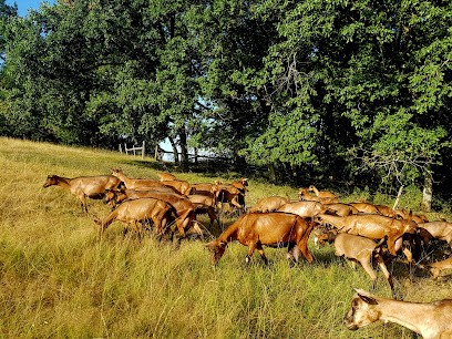 La Chèvre De Mathilde, Fabricant de Fromages à Vaïssac