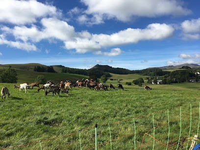 La Chèvrerie Du Sancy, Fabricant de Fromages à Besse-et-Saint-Anastaise