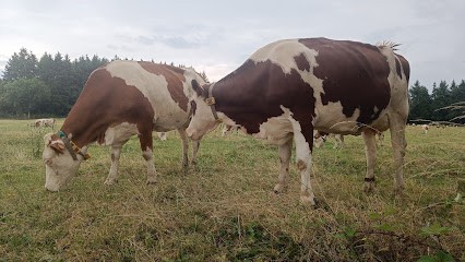 Gaec Penysarcenat, Fabricant de Fromages à Orcines