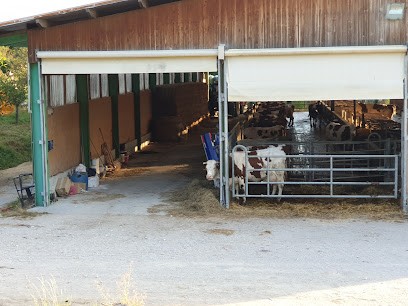 La Ferme De Reculefort, Fromagerie à Rochetoirin
