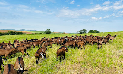 Goat Family, Fromagerie à Malaucourt-sur-Seille