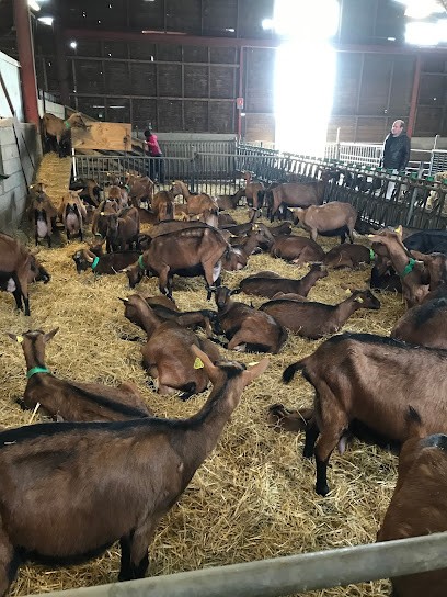 L' Enclos Des Chevrettes, Fabricant de Fromages à Villeneuve-sur-Auvers