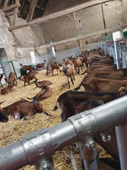 Chèvrerie De Chantolle, Fromagerie à Pougues-les-Eaux