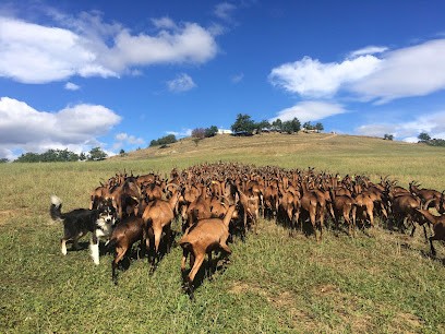 Les Chèvres D’Arzeliers, Fabricant de Fromages à Laragne-Montéglin