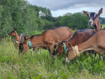 Les Caprines De Fons, Fromagerie à Fons