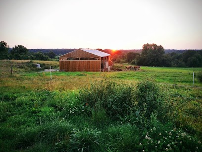Marguerite D'Anjou, Fabricant de Fromages à Écuillé
