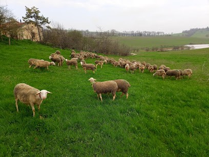 La Bergerie d'Andignac, Fabricant de Fromages à Vindrac-Alayrac