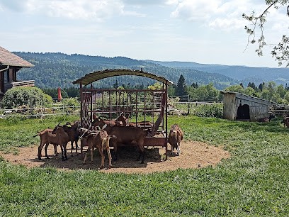 Gaec des vaches et des biquettes, Fabricant de Fromages à Villers-le-Lac