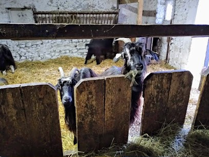 Cazaban Florence, Fromagerie à Saint-Abit