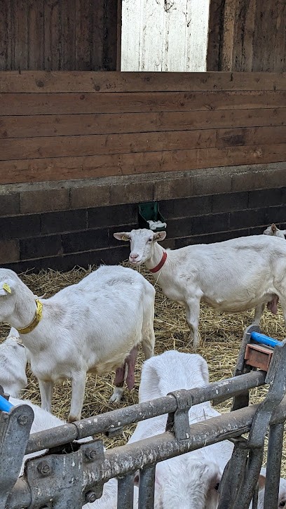 La Chèvrerie de l'Ornon, Fromagerie à Viam