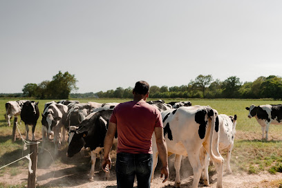 Ferme Des P'tits Brillet Fabricant De Fromage à Ombrée d'Anjou