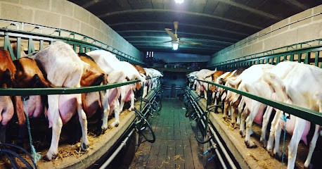 Earl Chèvres d'Argonne, Fromagerie à Villers-en-Argonne