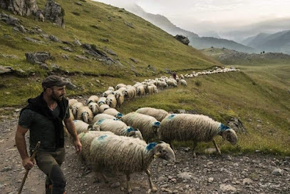 Ferme Du Saucet Fromagerie à Gère-Bélesten