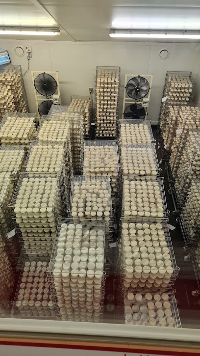 Fromagerie Peytot, Fromagerie à Planzolles