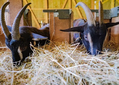 Ferme Du Pouy, Fabricant de Fromages à Campan