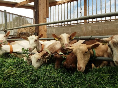 La bernassière, Fabricant de Fromages à Druye