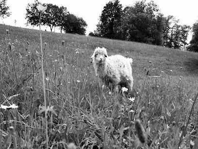Chèvrerie De La Source Du Tampa, Fabricant de Fromages à La Rosière