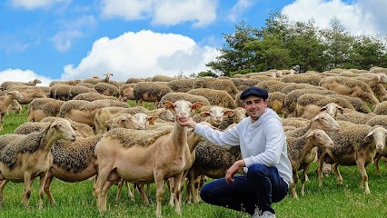 Le Lévéjac, Fabricant de Fromages à Massegros Causses Gorges