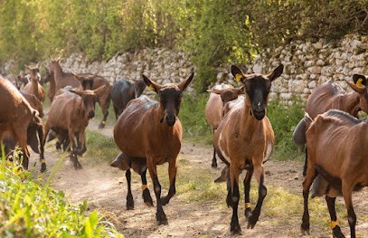 Fromagerie Des Gors, Fromagerie à Melle