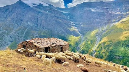 La Ferme De La Greffine, Fabricant de Fromages à Bessans