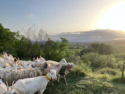 Lous Acampadis Di Coiron, Fabricant De Fromage à Darbres