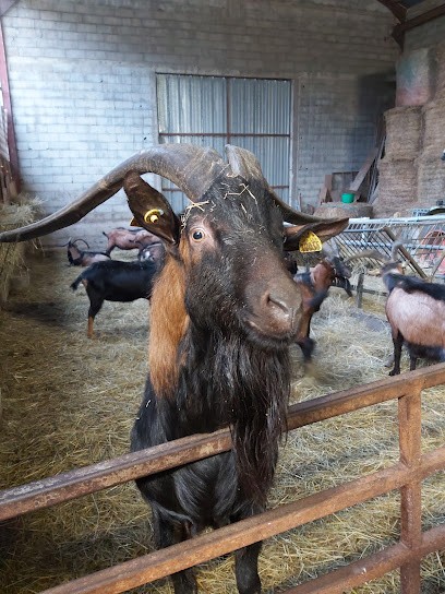 La Ferme Des Coteaux, Fabricant de Fromages à Massilly