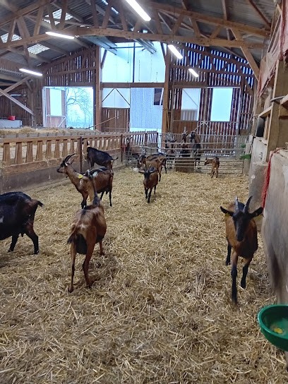 La Chevrerie Bigourdane, Fromagerie à Ossun