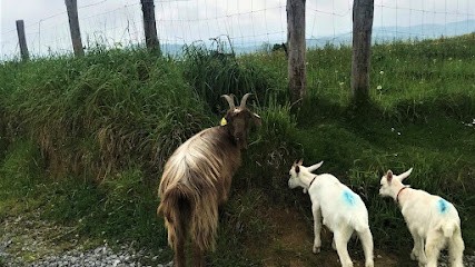 La Chèvrerie Henry IV, Fabricant de Fromages à Coarraze