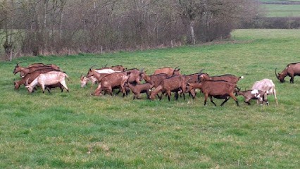 EARL Poulain, Fabricant de Fromages à Saint-Eusèbe