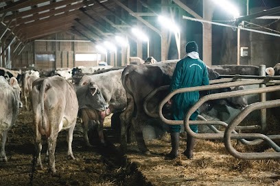 Les Montagnes De Pierre, Fromagerie à Saint-Martin-Valmeroux