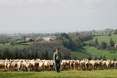 Les Paulinétoises, Fabricant de Fromages à Paulinet