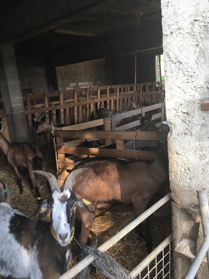 Chevrerie Des Fontaines, Fabricant de Fromages à Pernes-les-Fontaines