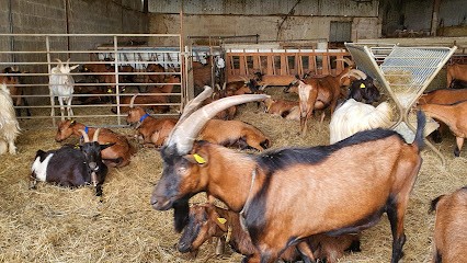 Touyet Denis, Fabricant de Fromages à Loubédat