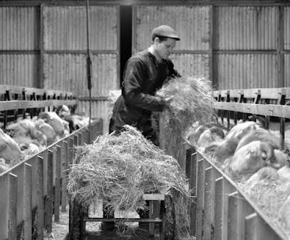 La Ferme du Payssas, Fabricant de Fromages à Asasp-Arros