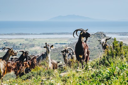 Fromagerie Donsimoni, Fromagerie à Rutali