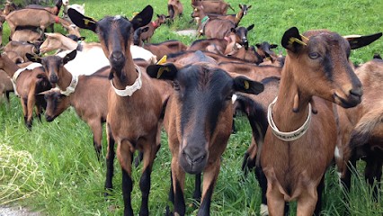 La Ferme Du Mont Thabor, Fabricant de Fromages à Valmeinier