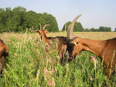 Ferme de Fonterland, Fabricant de Fromages à Tournon-Saint-Martin