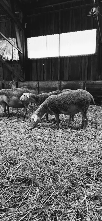 Bergerie De La Lignarre, Fromagerie à Ornon