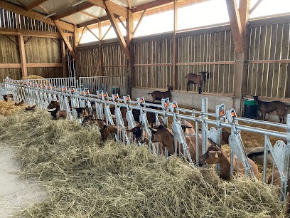 Les Demoiselles De Manue, Fabricant de Fromages à Fontenoy