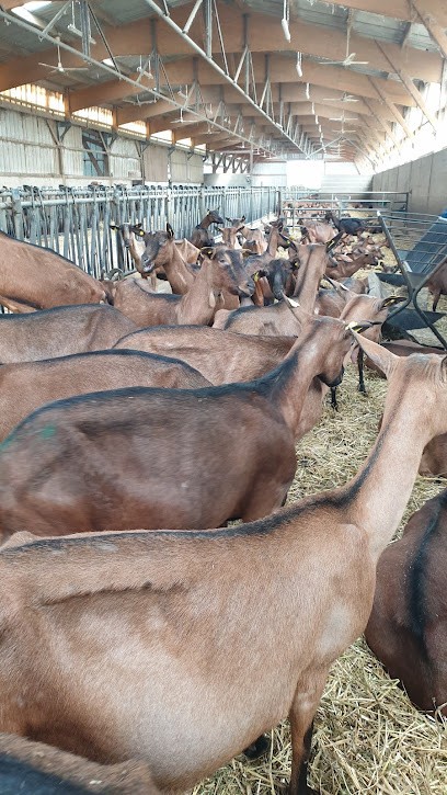 Le Petit Villiersfaux - GAEC Fabrice Ouvrard, Fabricant de Fromages à Villiersfaux